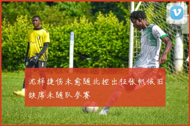 沈梓捷伤未愈随北控出征张帆依旧缺席未随队参赛