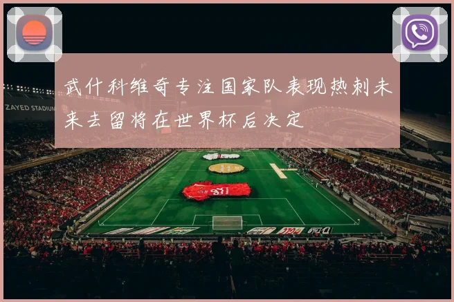 武什科维奇专注国家队表现热刺未来去留将在世界杯后决定